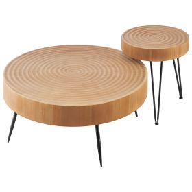 2 Pieces Round Coffee Tables Sets, 31.3 in Industrial Living Room Table with 1 End Side Table